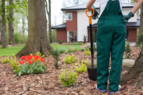 A gardener standing in a front or back garden on a slightly cloudy day, holding a small shovel with an orange handle in the right hand while tending to a landscaped area near a mature tree with textured bark. The garden features a mix of mulch-covered soil, bright red tulips, and low-growing green shrubs arranged around the base of the tree. In the background, there is a modern two-storey house with white walls, large windows, and a dark roof, set within a well-maintained lawn with mature trees and a paved pathway. The scene suggests outdoor maintenance or garden care, with the gardener wearing green gardening overalls and gloves, indicative of professional landscaping or lawn care services offered by Lawn Mowing Addiscombe, serving the local Croydon area in south London. Natural lighting highlights the vibrant colours of the garden elements and the lush greenery of the yard, emphasizing the outdoor environment suitable for residential gardening and landscaping tasks.