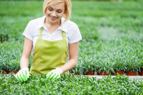A young woman with short blonde hair and a cheerful expression, wearing a white shirt, a light green apron, and matching gardening gloves, tending to a lush green garden with thriving young plants. She appears to be inspecting or caring for the healthy crops planted in neat rows. The garden features well-maintained grass and densely packed greenery, possibly seedlings or young shrubs, with a backdrop of similar lush vegetation. The scene is outdoors in natural daylight, suggesting a pleasant weather condition suitable for gardening, and the background shows more garden beds and plantings, indicating a well-organised outdoor space dedicated to gardening or landscaping services. This image highlights the continuous care involved in lawn and garden maintenance typical of providers like Lawn Mowing Addiscombe, supporting local gardening and outdoor care solutions in the area near postcode CR0 or Croydon.